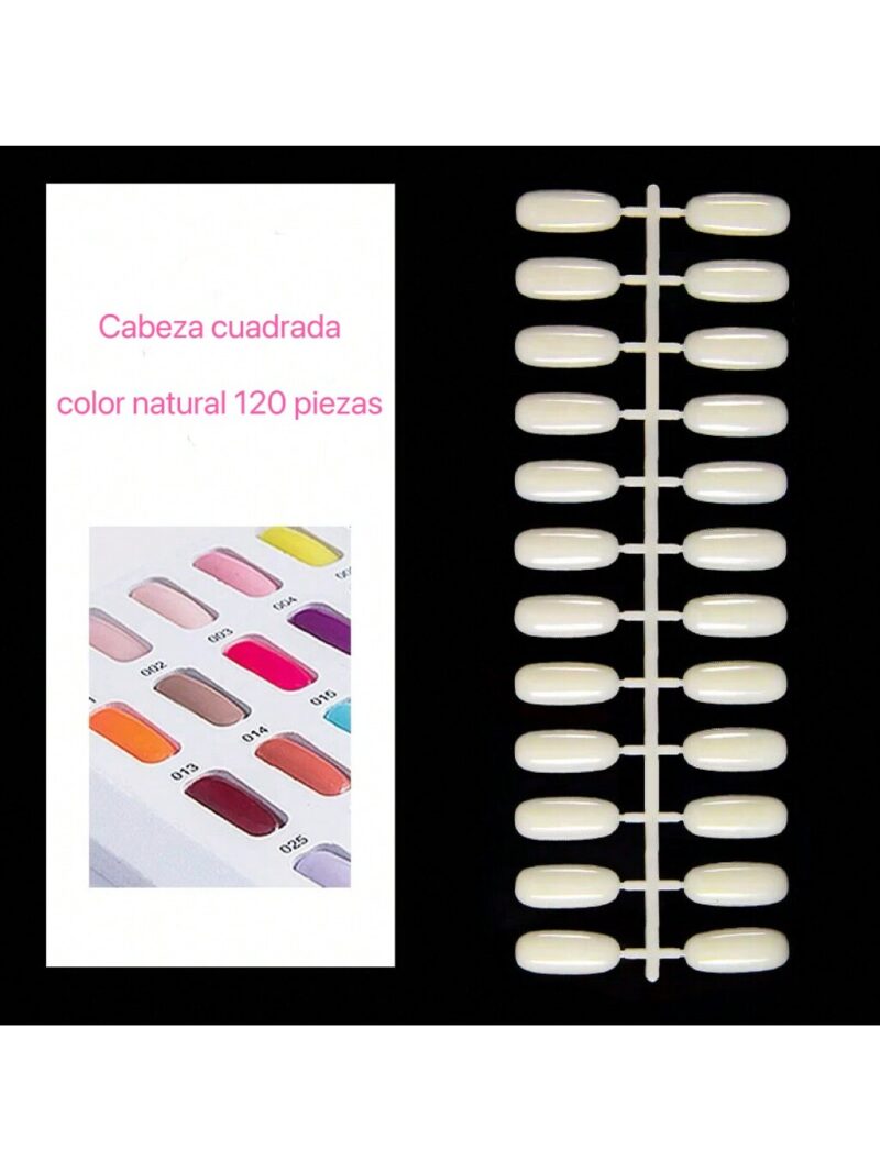Tip para libro muestrario *FORMA REDODNDA*.
